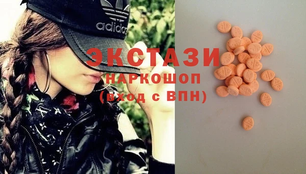 ECSTASY Бородино